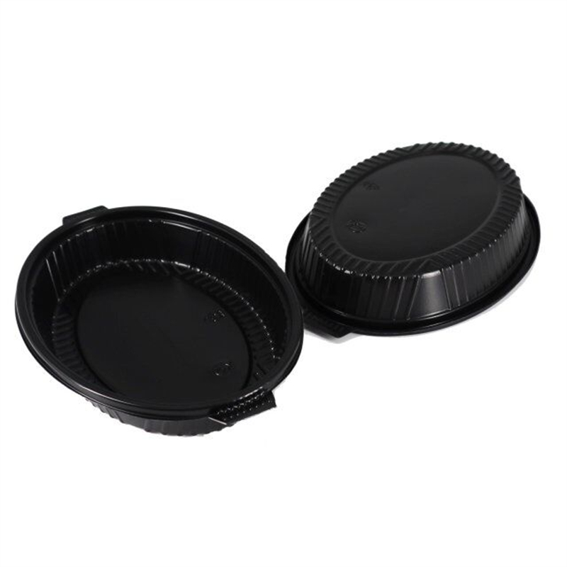 Takeaway Disposable Fast Food Blister Plastic Container plastic