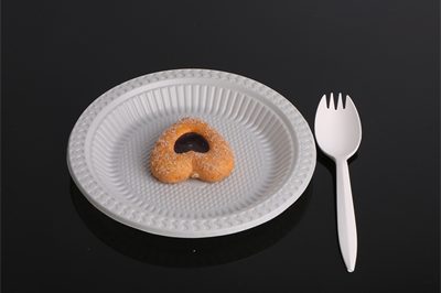 1 plastic dishes tray (1)