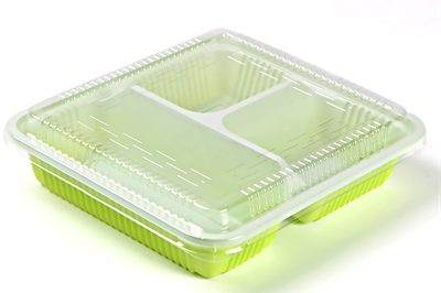 10 3 compartment disposable lunch box (1)