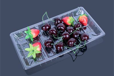 11 food plastic tray (1)