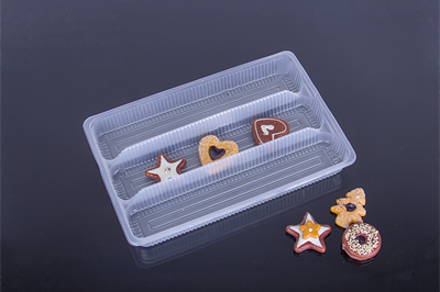 12 serving plastic tray (1)