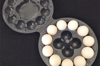 18 Transparent disposable plastic egg boxes (1)