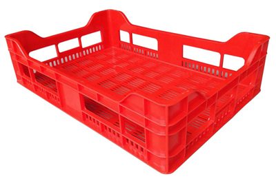 19 large plastic tray (1)