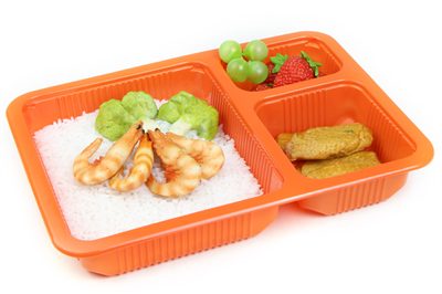 26 Disposable Cpet Food Container (1)