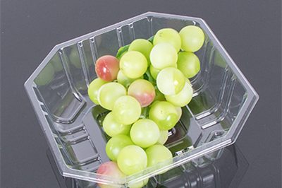 5 clear plastic tray (1)