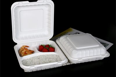 5 take out disposable food container (1)