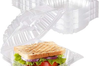 Disposable Plastic To Go Containers With Clear Lids (4)